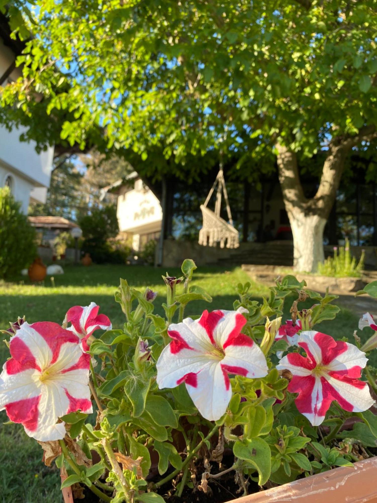 Guest House Debar Arbanasi Exterior photo